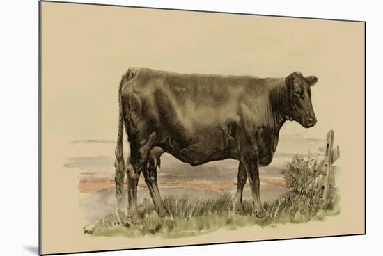 Antique Cow II-Julian Bien-Mounted Premium Giclee Print