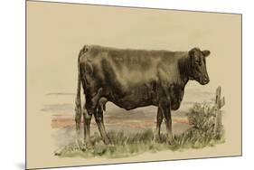 Antique Cow II-Julian Bien-Mounted Premium Giclee Print