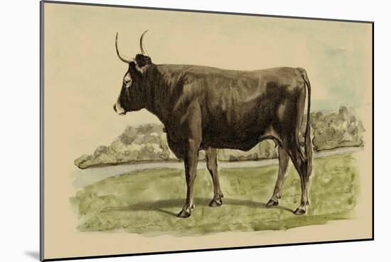 Antique Cow III-Julian Bien-Mounted Art Print