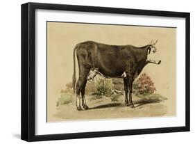 Antique Cow IV-Julian Bien-Framed Art Print