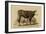 Antique Cow IV-Julian Bien-Framed Art Print