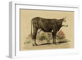 Antique Cow IV-Julian Bien-Framed Art Print