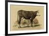 Antique Cow IV-Julian Bien-Framed Premium Giclee Print