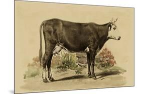 Antique Cow IV-Julian Bien-Mounted Premium Giclee Print