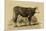 Antique Cow IV-Julian Bien-Mounted Premium Giclee Print