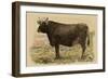 Antique Cow V-Julian Bien-Framed Art Print