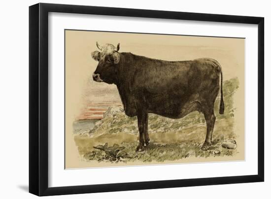 Antique Cow V-Julian Bien-Framed Art Print