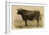 Antique Cow V-Julian Bien-Framed Art Print