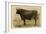 Antique Cow V-Julian Bien-Framed Art Print