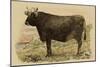 Antique Cow V-Julian Bien-Mounted Art Print