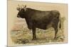 Antique Cow V-Julian Bien-Mounted Premium Giclee Print