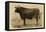 Antique Cow V-Julian Bien-Framed Stretched Canvas