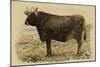 Antique Cow V-Julian Bien-Mounted Premium Giclee Print