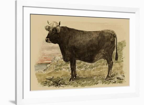 Antique Cow V-Julian Bien-Framed Art Print