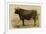 Antique Cow V-Julian Bien-Framed Art Print