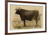 Antique Cow V-Julian Bien-Framed Art Print