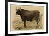 Antique Cow V-Julian Bien-Framed Art Print