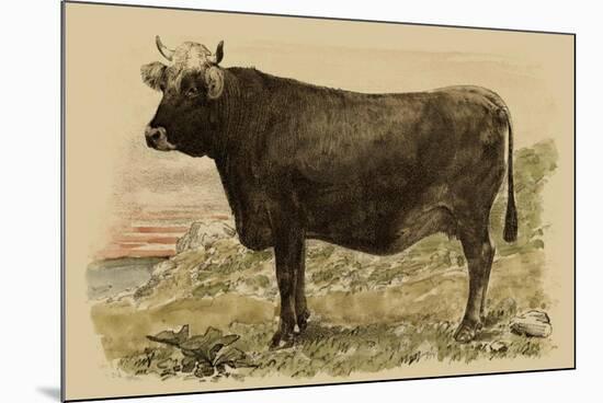 Antique Cow V-Julian Bien-Mounted Art Print