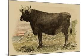 Antique Cow V-Julian Bien-Mounted Art Print