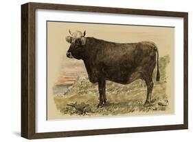 Antique Cow V-Julian Bien-Framed Art Print