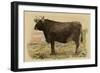 Antique Cow V-Julian Bien-Framed Art Print