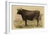 Antique Cow V-Julian Bien-Framed Art Print