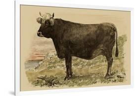 Antique Cow V-Julian Bien-Framed Art Print