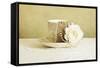 Antique Cup and Saucer with White Flower and Pearls-Tom Quartermaine-Framed Stretched Canvas