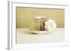 Antique Cup and Saucer with White Flower and Pearls-Tom Quartermaine-Framed Giclee Print