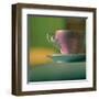 Antique Cup V-Jean-François Dupuis-Framed Art Print