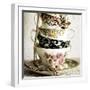 Antique Cups and Saucers with Pearls 01-Tom Quartermaine-Framed Giclee Print