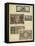 Antique Currency IV-Vision Studio-Framed Stretched Canvas