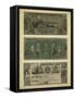 Antique Currency V-Vision Studio-Framed Stretched Canvas