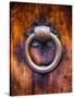 Antique Door Knocker In Florence-George Oze-Stretched Canvas