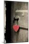 Antique Door with Red Heart-Tom Quartermaine-Mounted Giclee Print