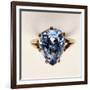 Antique Fancy-Cut Ring, the Blue-Grey Diamond Weighing 5.45 Carats, Once Owned by Marie-Antoinette-null-Framed Giclee Print