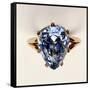 Antique Fancy-Cut Ring, the Blue-Grey Diamond Weighing 5.45 Carats, Once Owned by Marie-Antoinette-null-Framed Stretched Canvas