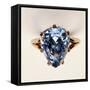 Antique Fancy-Cut Ring, the Blue-Grey Diamond Weighing 5.45 Carats, Once Owned by Marie-Antoinette-null-Framed Stretched Canvas