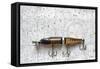 Antique Fishing Lure-Joe Quinn-Framed Stretched Canvas
