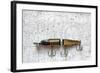 Antique Fishing Lure-Joe Quinn-Framed Photographic Print