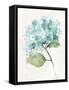 Antique Floral on Cream I Blue-Wild Apple Portfolio-Framed Stretched Canvas