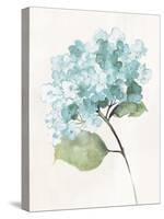 Antique Floral on Cream I Blue-Wild Apple Portfolio-Stretched Canvas