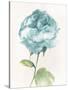 Antique Floral on Cream II Blue-Wild Apple Portfolio-Stretched Canvas