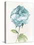 Antique Floral on Cream II Blue-Wild Apple Portfolio-Stretched Canvas