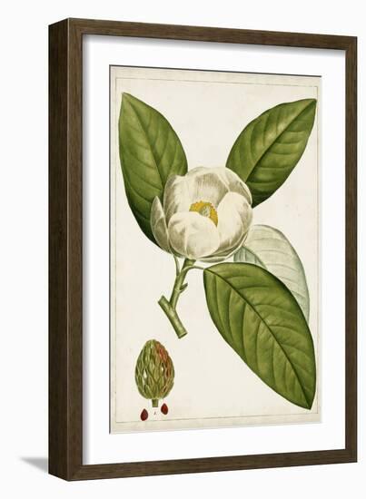 Antique Flowering Trees II-null-Framed Art Print