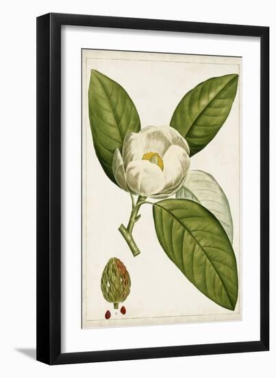 Antique Flowering Trees II-null-Framed Art Print