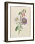 Antique Garden Bouquet III-Vision Studio-Framed Art Print