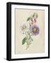 Antique Garden Bouquet III-Vision Studio-Framed Art Print