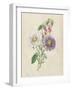 Antique Garden Bouquet III-Vision Studio-Framed Art Print
