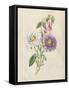 Antique Garden Bouquet III-Vision Studio-Framed Stretched Canvas